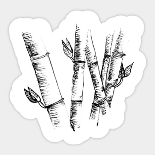 Bamboo Sticker